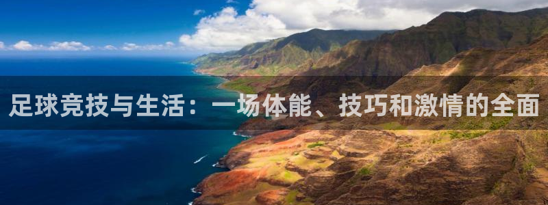足球竞技与生活：一场体能、技巧和激情的全面