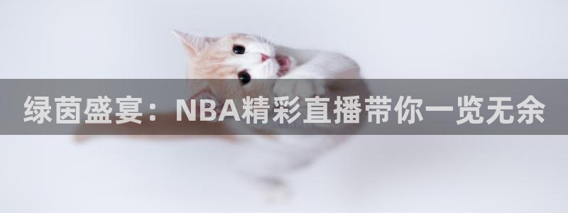 98篮球nba录像回放