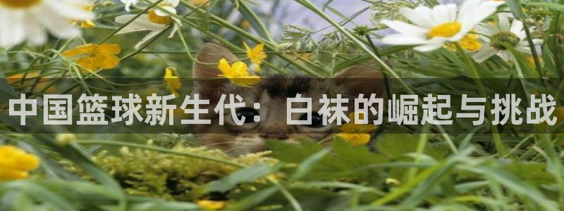 98nba录像全场回放高清：中国篮球新生代：白袜的崛起与挑战